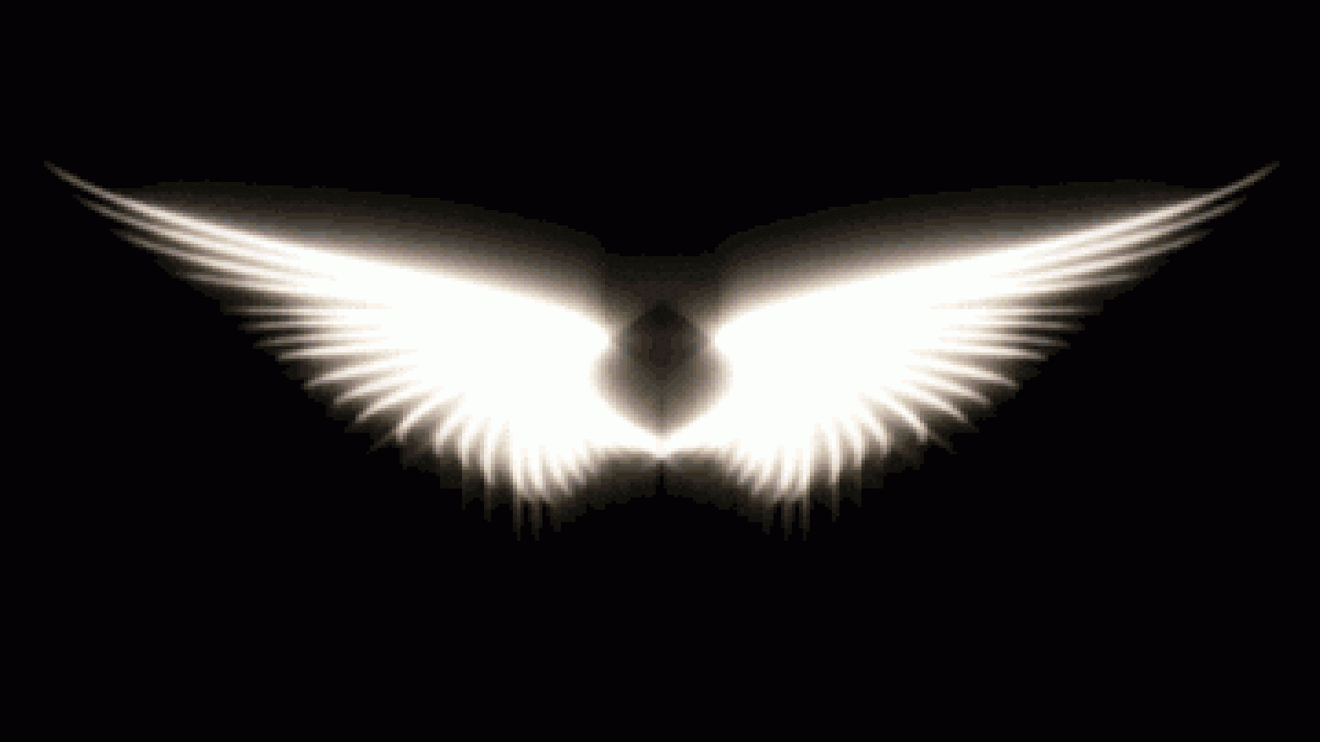 wing