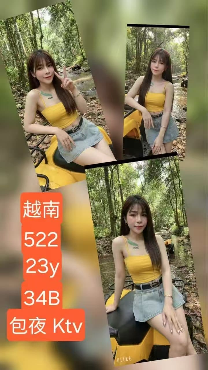 No. 522